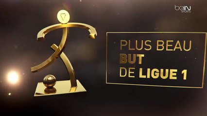 Trophée UNFP : Grégory Van der Wiel