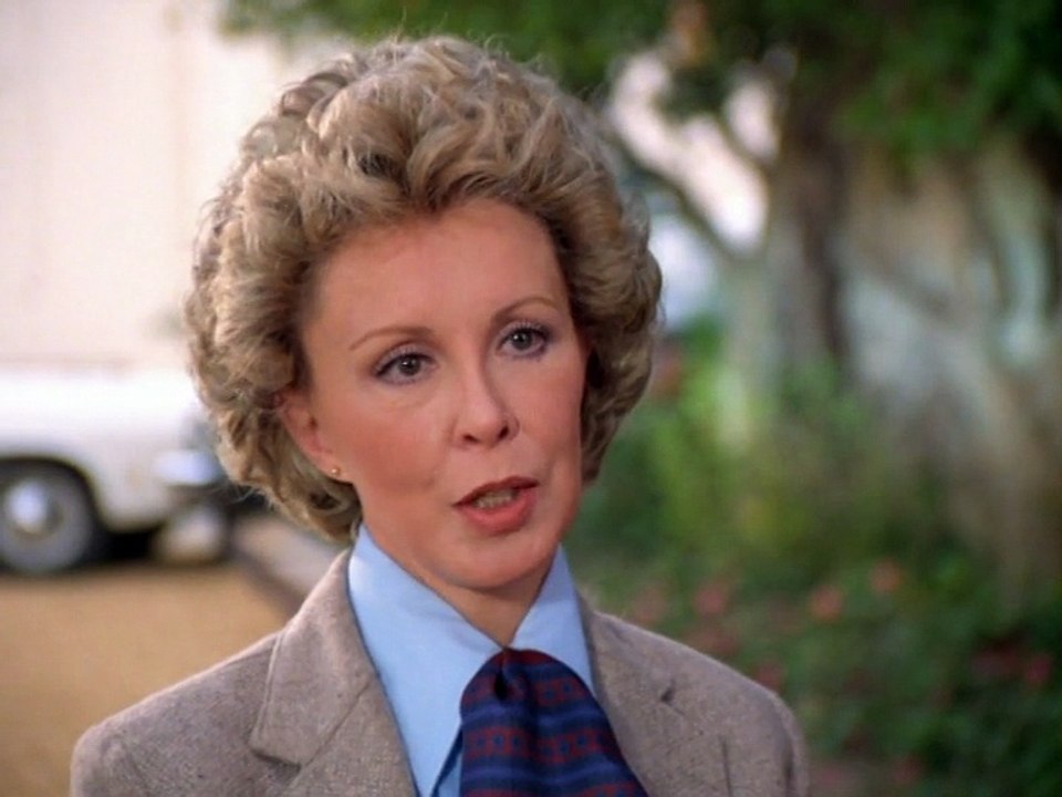 Remington-Steele - Staffel 1 Episode 19