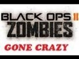 black ops 2 zombies crazy round part 2