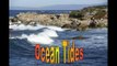 Ocean Tides (c) 1982-Chuck Michael Ostan