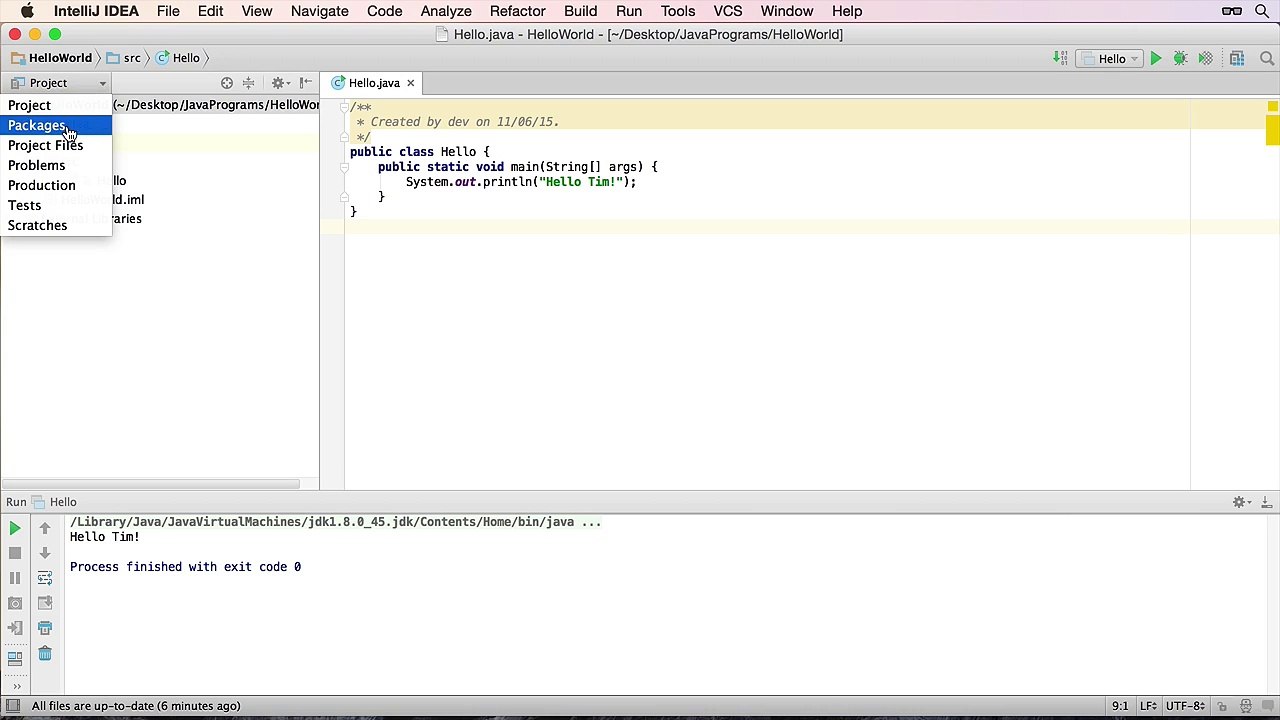 006 The IntelliJ Interface