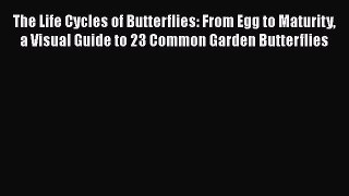 [Read Book] The Life Cycles of Butterflies: From Egg to Maturity a Visual Guide to 23 Common