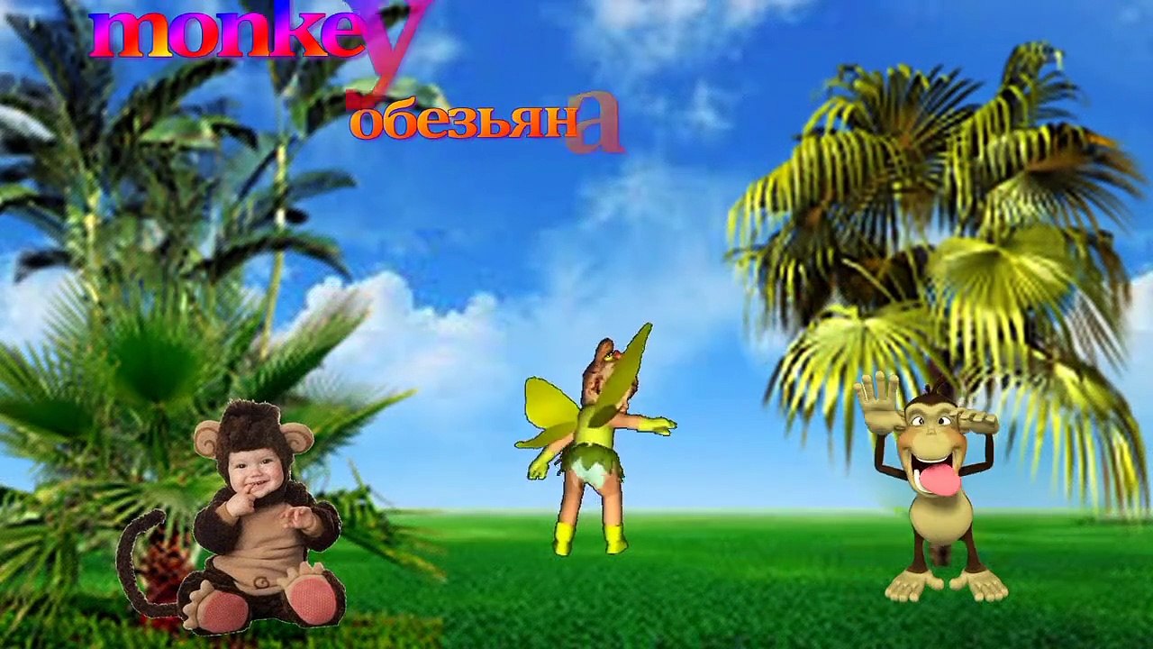 Дикие животные на английском языке для детей.Wi...