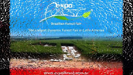 Carregador Florestal PenzSaur Grua Florestal