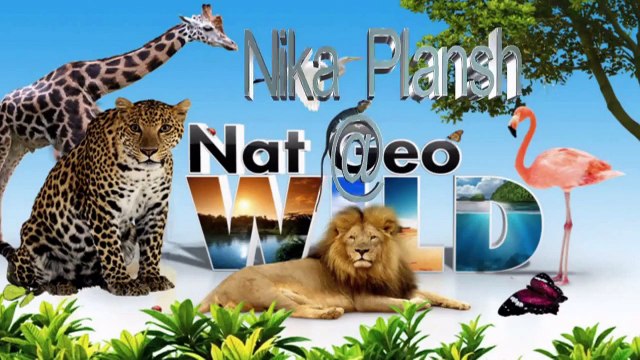 Английский для самых маленьких детей. Развивающий мультик для детей