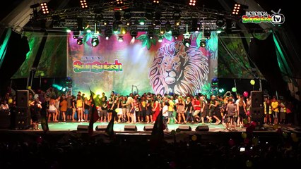 Despedida @ Main Stage 2014