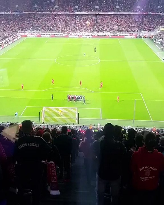 from the stands