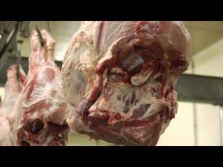 Mish i rrezikshëm, bllokohet thertorja me 10 kv - Top Channel Albania - News - Lajme