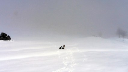 Les poilus dans la neige aux conffins