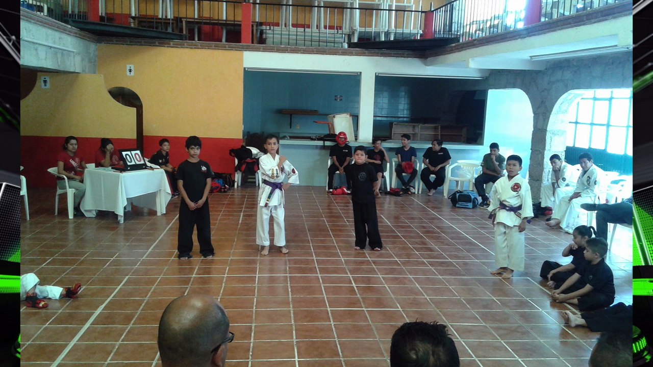 1er torneo de artes marciales infantil juvenil organizado por Roca Ipmao