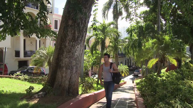 1313: Giant Killer Bees – Trailer