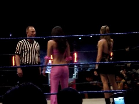 michelle McCool vs brie bella divas WWE SMACKDOWN ''road to wrestlemania 25'' guadalajara PARTE 10