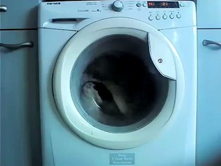 Hoover washing machine version HD part 5/8