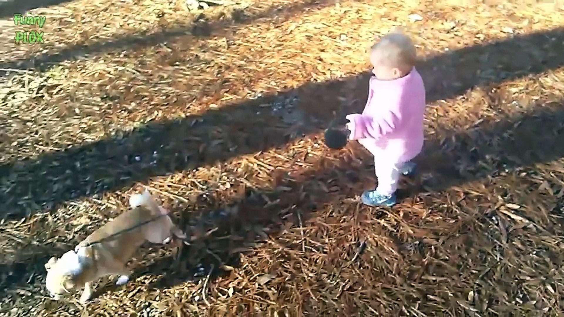Cute Babies Walking Dogs Compilation 2014