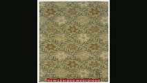 Most popular  Rizzy Rugs CT0917 8Footby10Foot Country Area Rug Transitional Green
