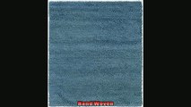 For you  Rizzy Rugs SR0432 5Footby8Foot Splendor Area Rug Shag Ice Blue