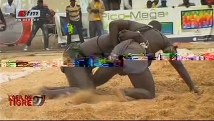 Palette avec Forza l'oeil du tigre 03 mars 2016