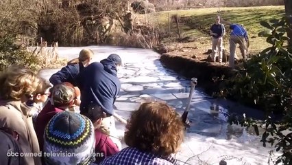 Il va sauver une autruche, c'est un héros !