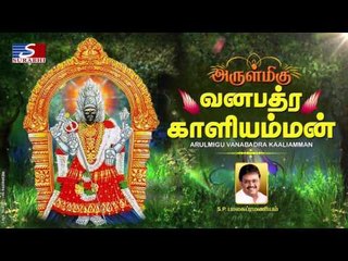 ARULMIGU VANABADRA KAALIAMMAN