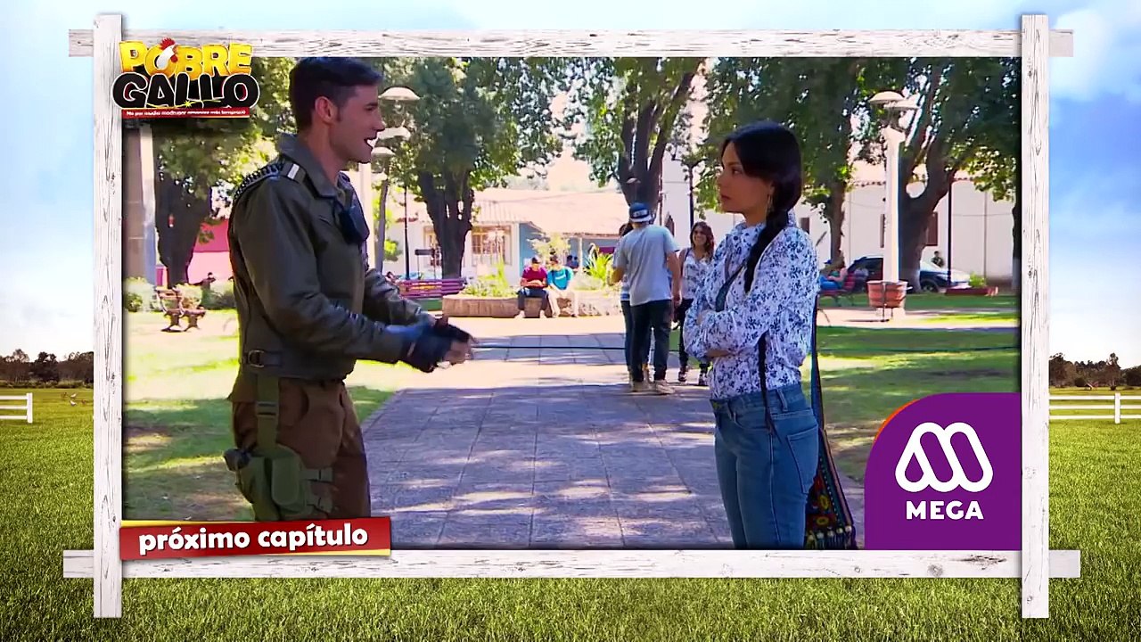 Pobre Gallo - Avance Capítulo 78