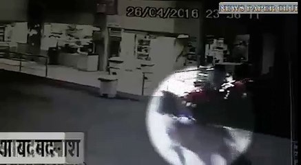 The horse came to loot crooks