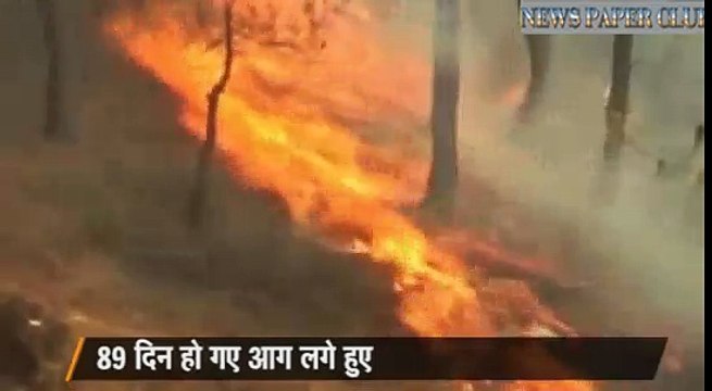 uttarakhand fire spreads to 13 districts 1800 hectares of forest destroyed