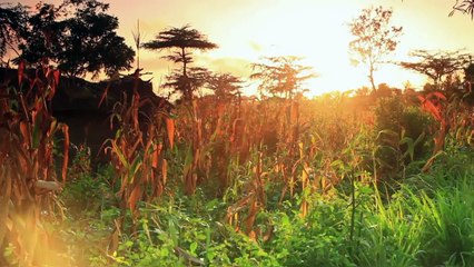 Primo & Epico provide a look at Puerto Rican cuisine: Raw, May 2, 2016
