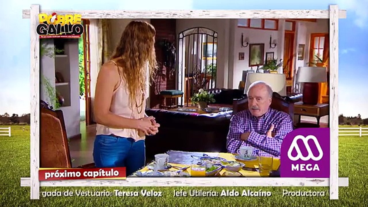 83 Avance Pobre Gallo