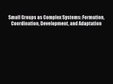 Read Small Groups as Complex Systems: Formation Coordination Development and Adaptation Ebook