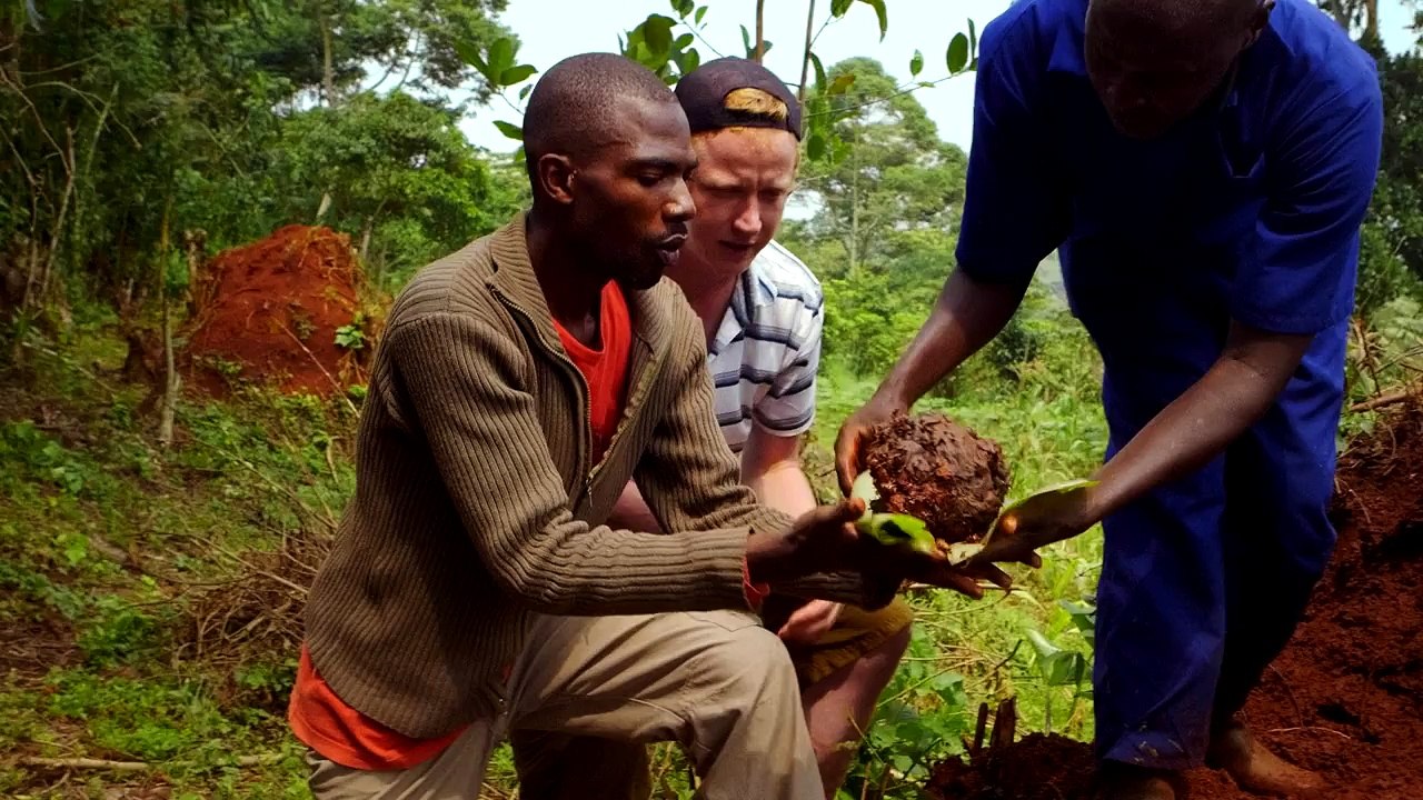 BUGS the film – Will eating insects save our Earth? – official trailer #Tribeca2016