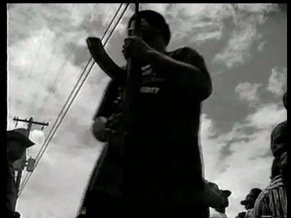 lutte contre les fachos