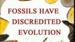 Fossils Have Discredited Evolution