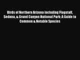 Download Birds of Northern Arizona including Flagstaff Sedona & Grand Canyon National Park: