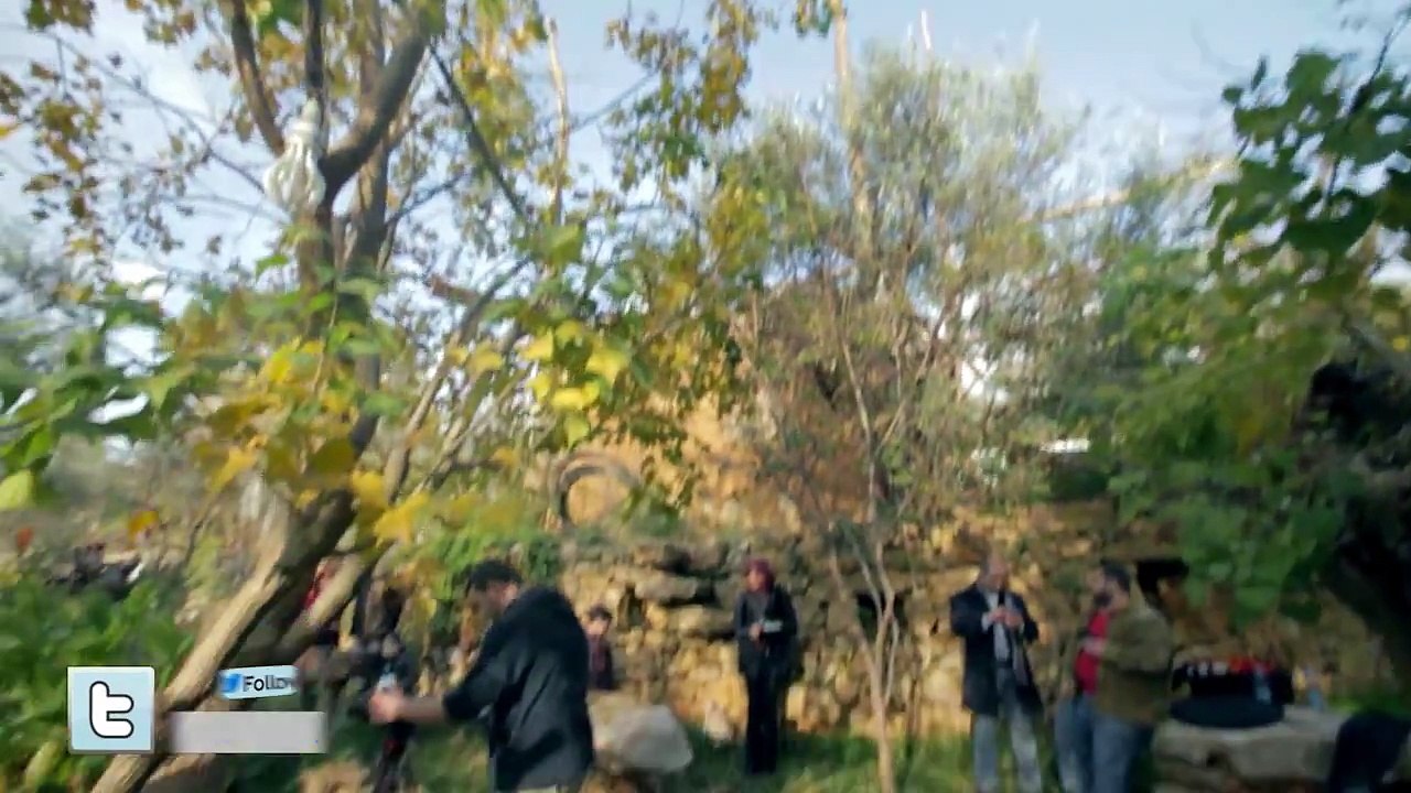 كواليس آخر النهار - أمينة كرم | طيور الجنة - toyoraljanaht