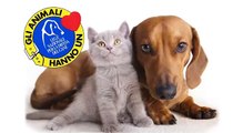 Sezione dell'Alta Padovana (PD) - Lega Nazionale per la Difesa del Cane