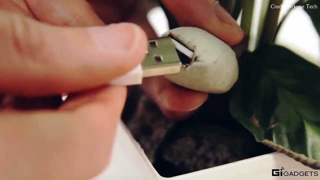 Sạc tái chế từ năng lượng cây xanh - A house plant can charge your mobile devices