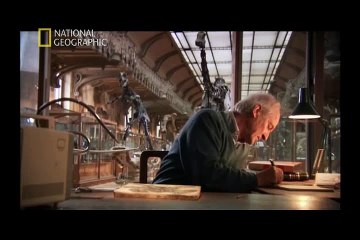 Jurassic Doneminin Ucan Yaratiklari