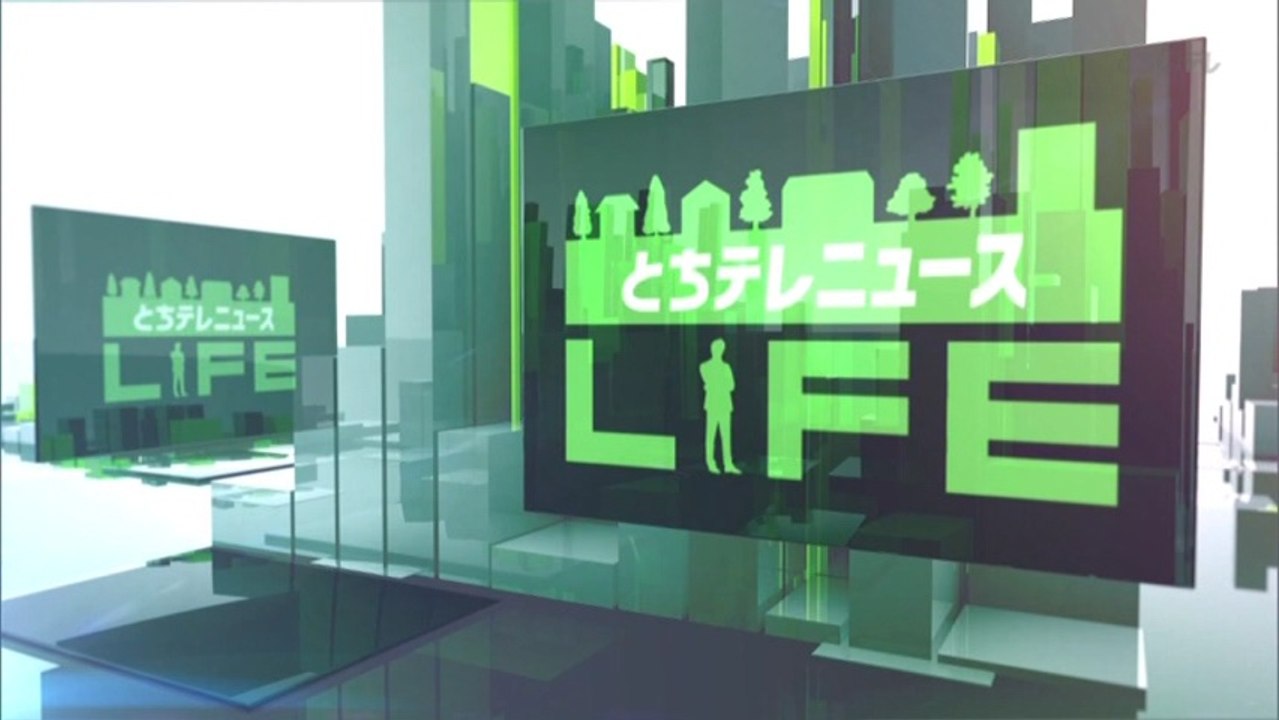 憲法記念日 栃木TVニュース