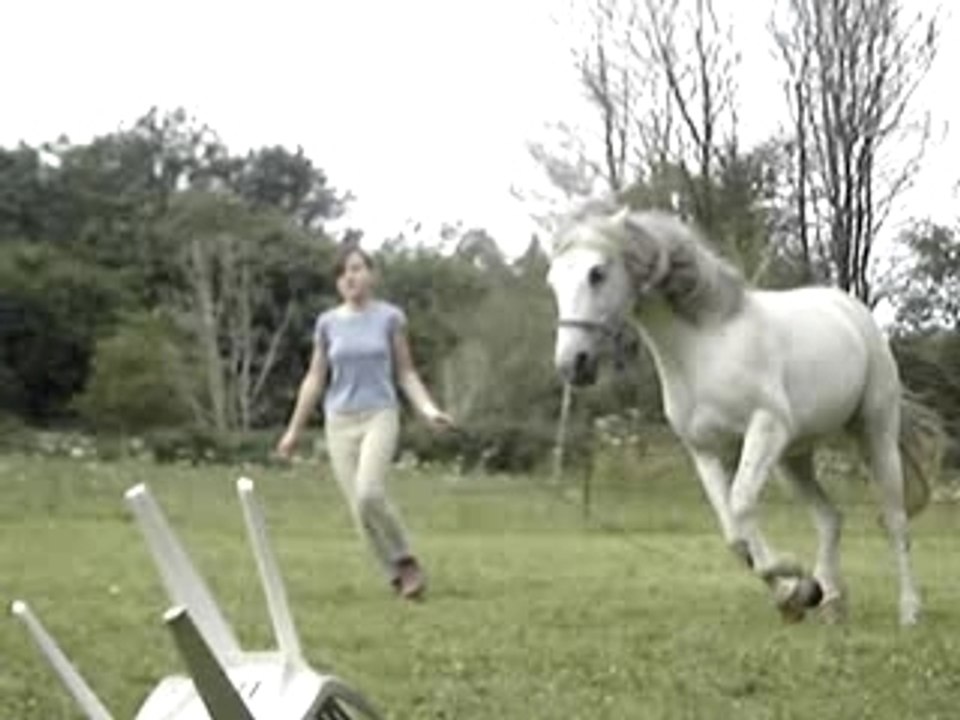 Saut lib