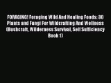 [Download PDF] FORAGING! Foraging Wild And Healing Foods: 30 Plants and Fungi For Wildcrafting