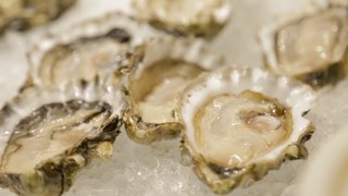 Orchard Hotel Singapore - Oyster Odyssey