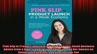 FREE PDF  Pink Slip to Product Launch in a Weak Economy Small Business Advice from a High School  BOOK ONLINE