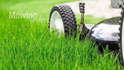 Shannon Landscaping: Helping Home Owners Create Better Lawns