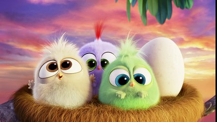 THE ANGRY BIRDS MOVIE - Hatchlings Mother's Day Greeting