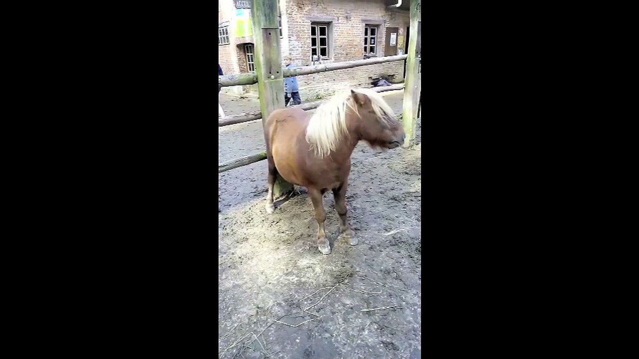Nuage et la danse