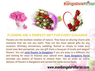 Best Gift Ideas To Surprise Your Loved One