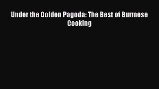 [Read Book] Under the Golden Pagoda: The Best of Burmese Cooking  Read Online