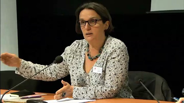 Atelier Normalisation 4-Se représenter l'embryon dans des parcours d'AMP, par Séverine Mathieu