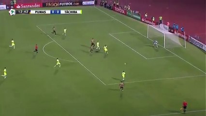 Pumas 2-0 Deportivo Táchira  Highlights & All Goals Copa Libertadores 03 May 2016