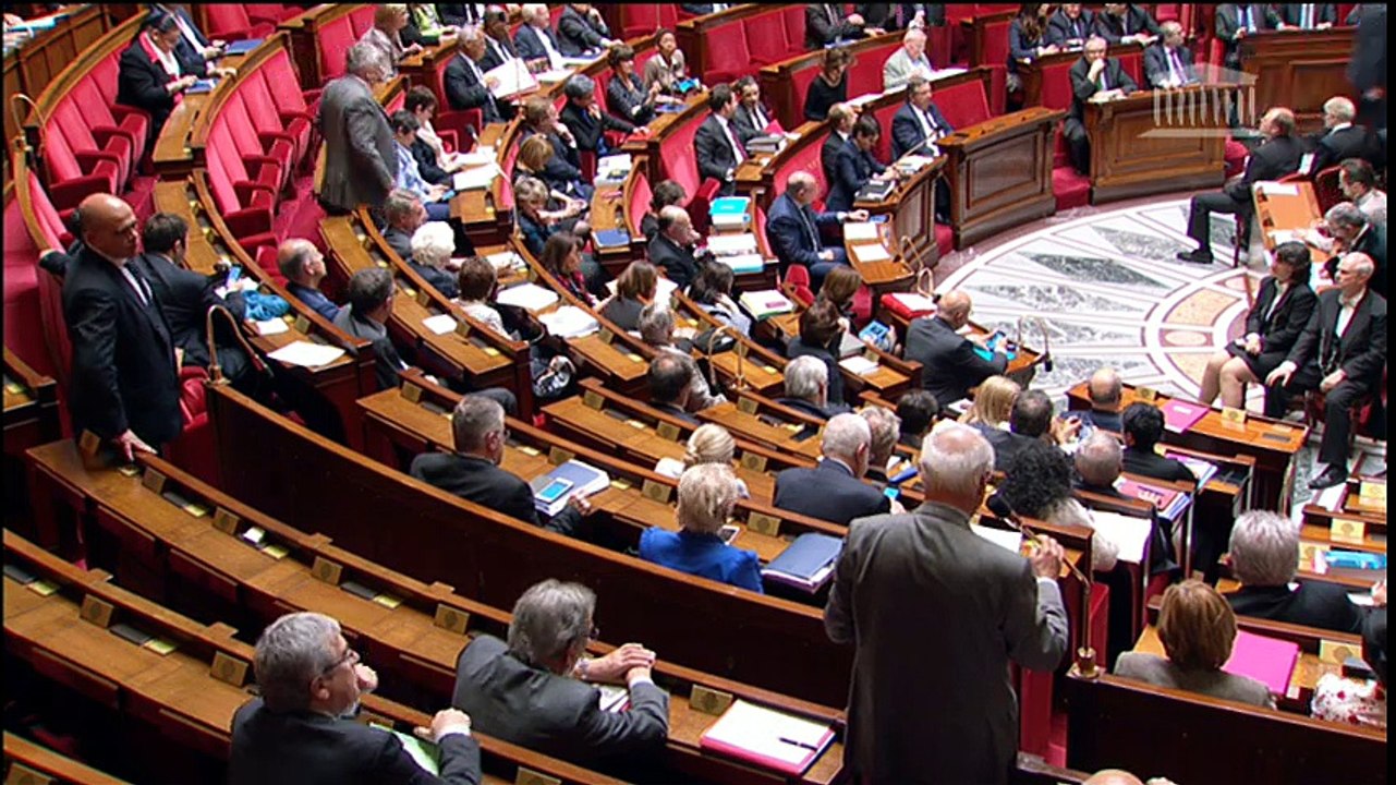 Question au gouvernement: effectifs de police à Lyon